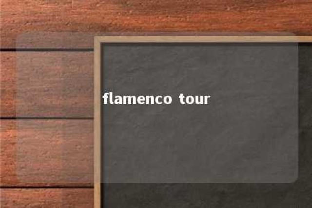 flamenco tour 